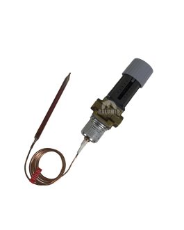 3217855800 THERMOSTAT