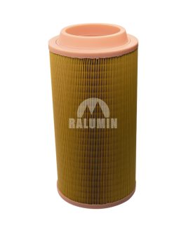 AIR FILTER (PRIMARIO)