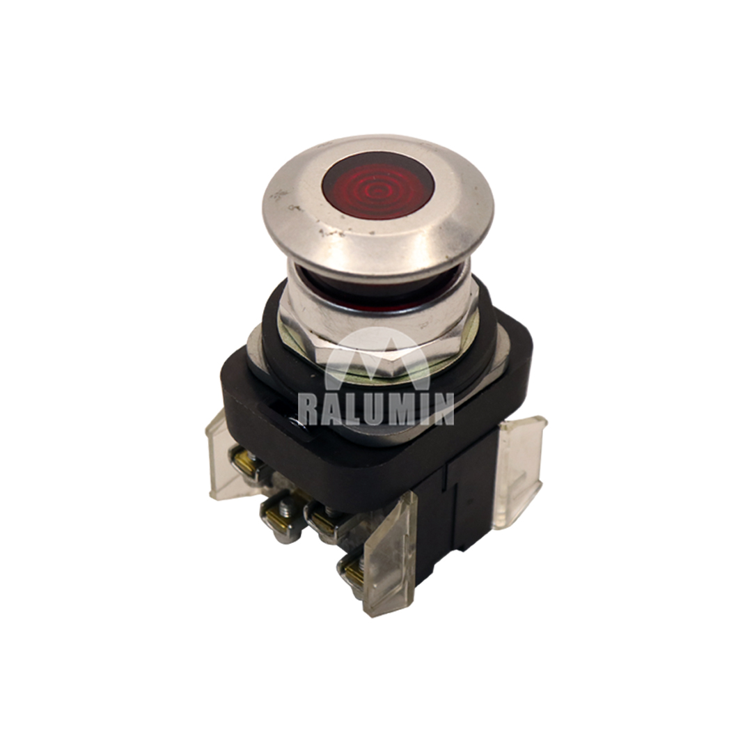 SWITCH-PUSH BUTTON