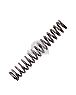 FORWARD & REVERSE SPOOL SPRING