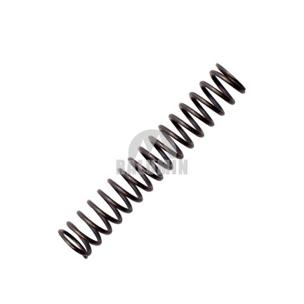 Forward Relief Spring FORWARD & REVERSE SPOOL SPRING - RALUMIN