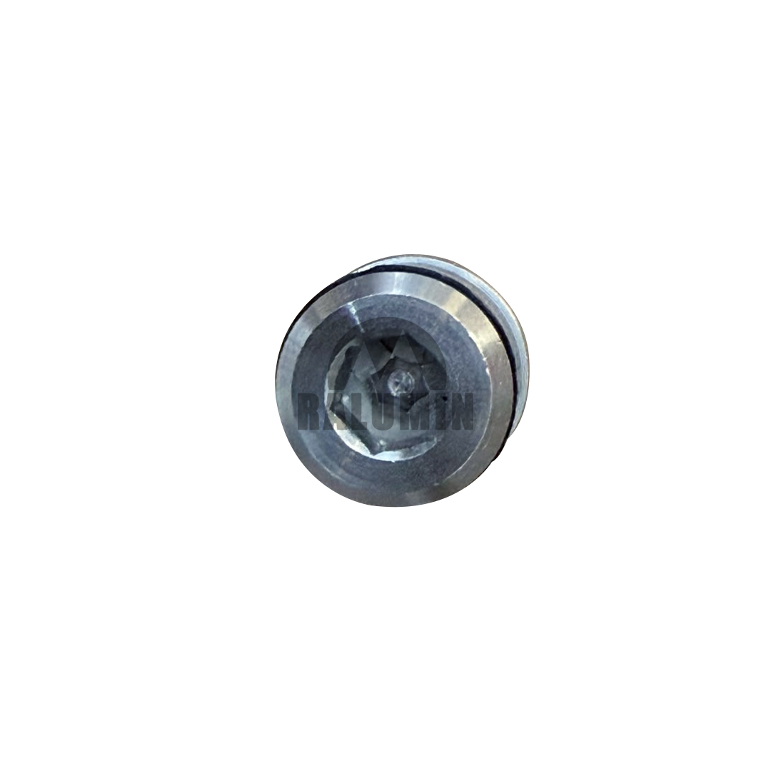 CHECK VALVE COMPLETE - Imagen 2