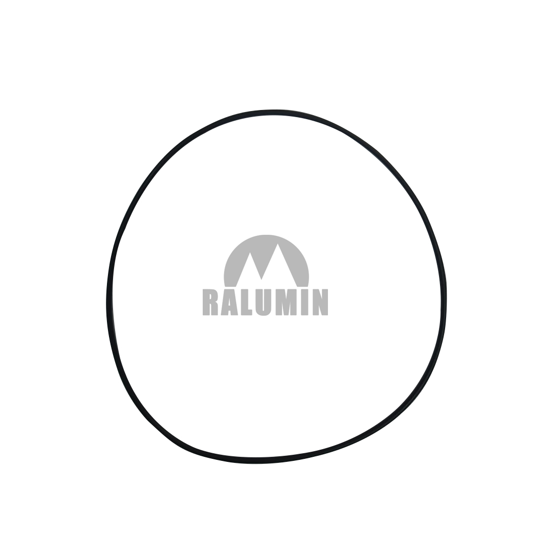 O-RING