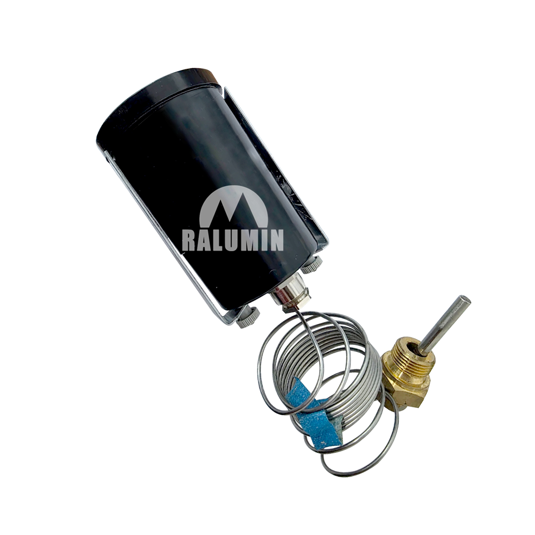 SENSOR DE TEMPERATURA - Imagen 2