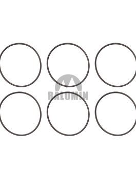SEAL RING