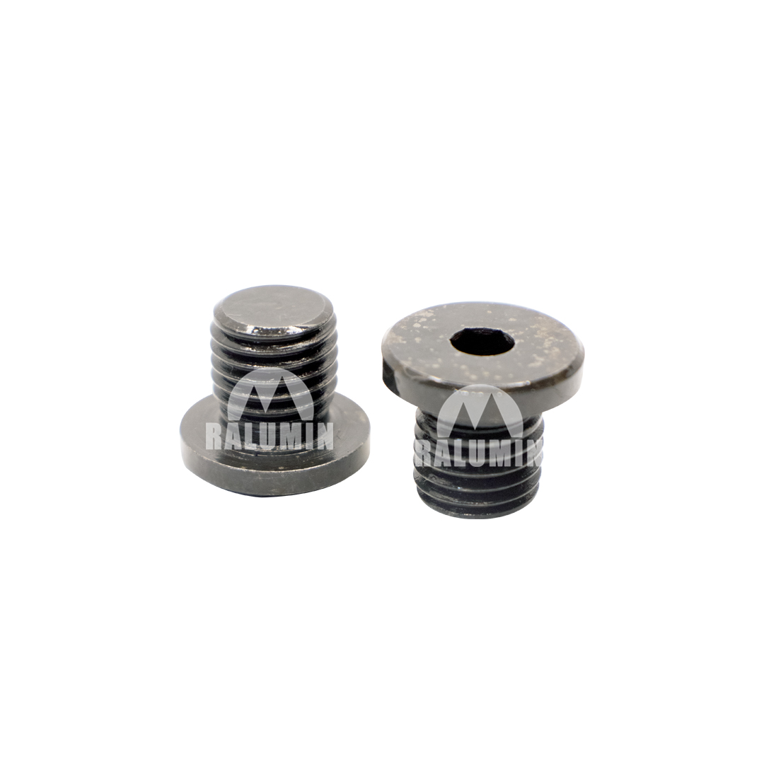 PROTECTION PLUG